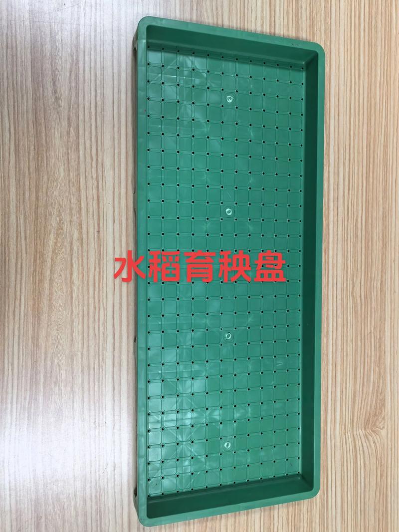 水稻育秧盘工厂直发 各种型号、颜色齐全，质量有保证，欢迎来厂参观考察